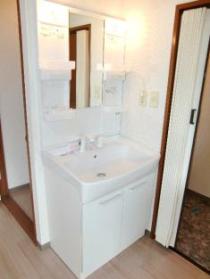 Washroom. Wash basin