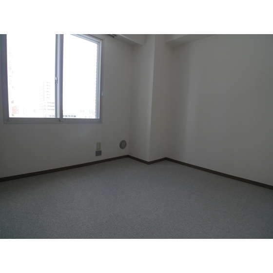 Other. Western-style 1