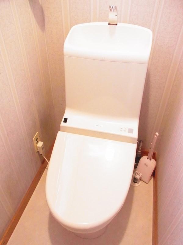 Toilet. Indoor shooting