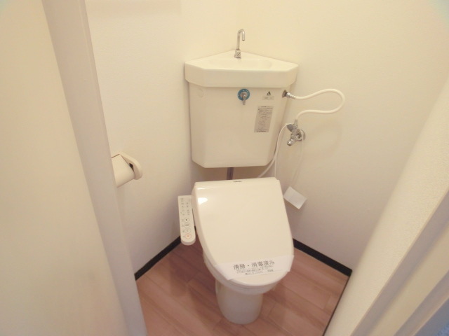 Toilet. Comfortable in the bidet