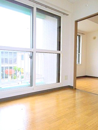 Living and room. Bright living room