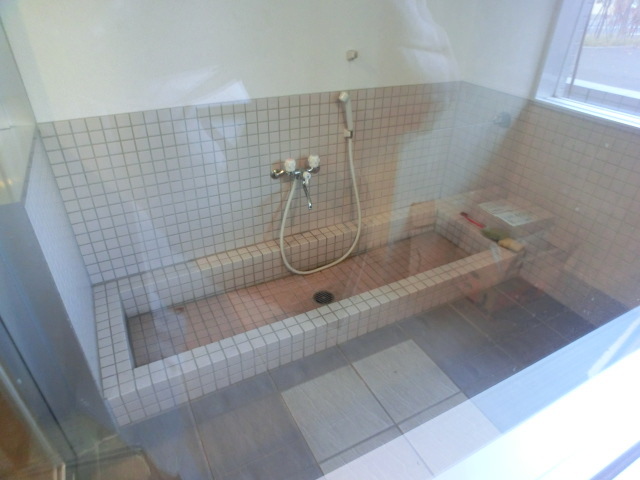 Other common areas. Foot of the dog let clean wash here!