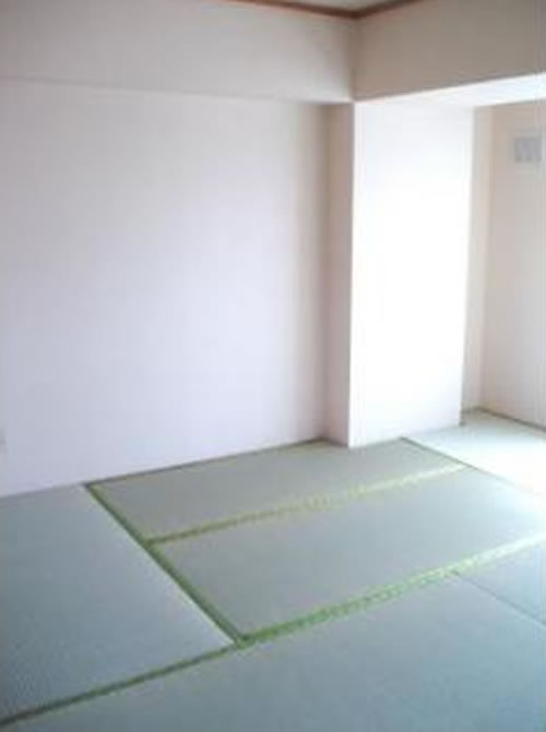 Other room space. Japanese style room