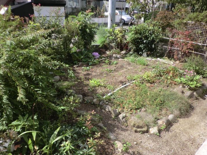 Garden. Home garden can be wide