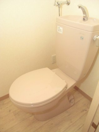 Toilet. Disinfection have been cleaned ☆