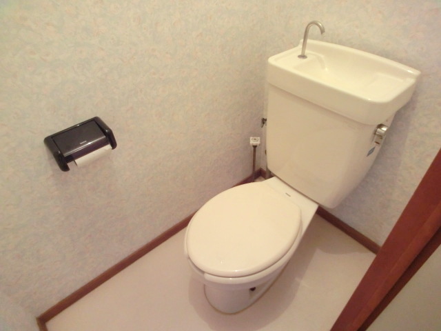 Toilet. Toilet is also beautiful! !