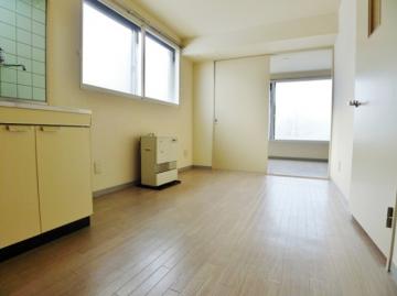 Living and room. Living