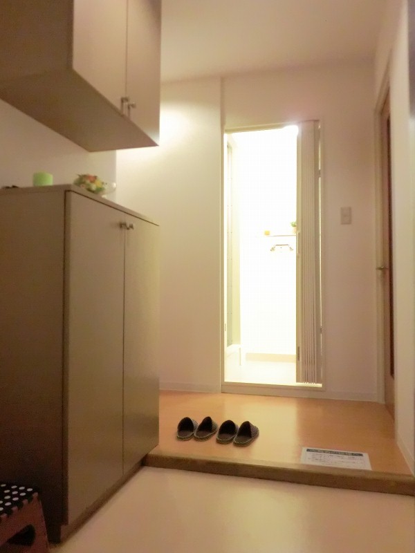 Entrance. I wider entrance and cupboard! But it is surprisingly important!