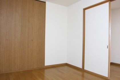 Other room space. Western style room