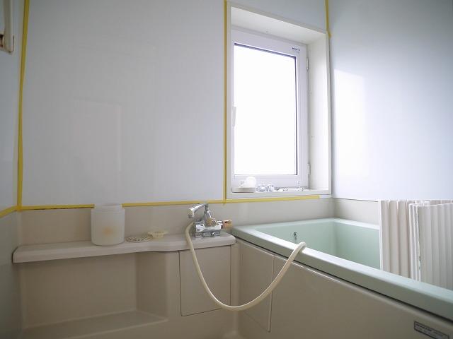 Other introspection. Interior