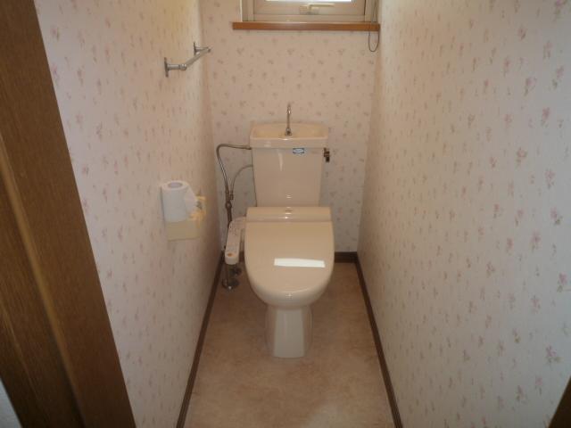 Toilet. Indoor (September 2012) shooting