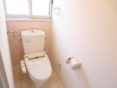 Toilet. Heated toilet seat with a shower is a new article