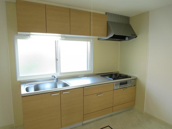 Kitchen. San'webu made of the new system kitchen cleaning a breeze