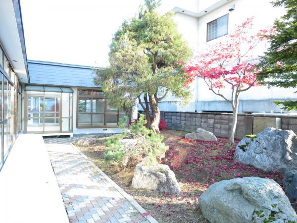 Garden. Southwest side of the garden