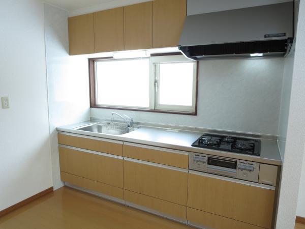 Kitchen. San'webu made of the system kitchen It is easier than ever with the housing because the pull-out type