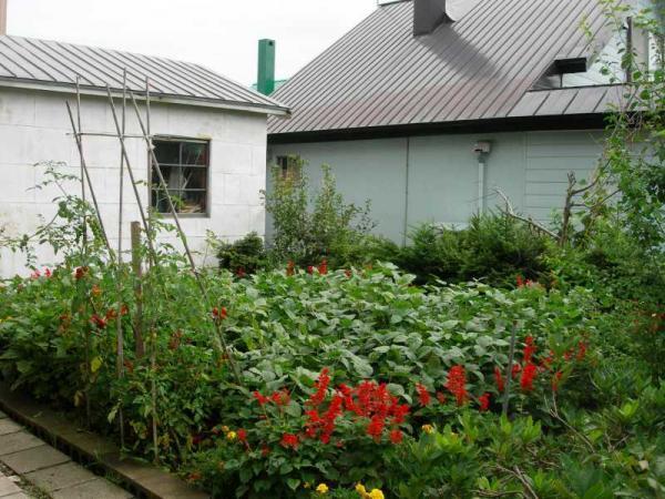 Local appearance photo