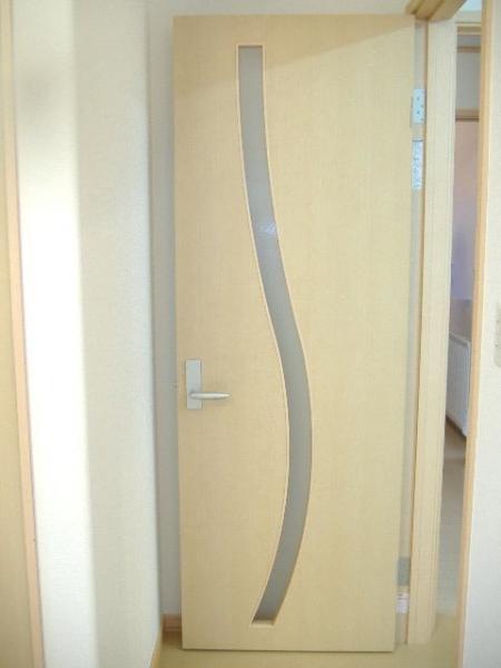 Other introspection. Stylish door