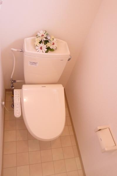 Non-living room. Warm and winter in the new toilet heating toilet seat shower