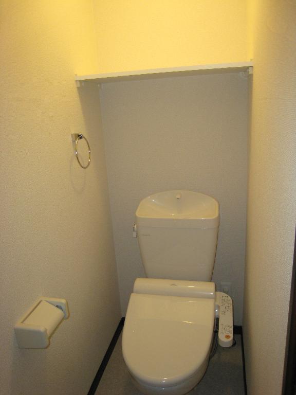 Toilet. It is with warm water washing toilet seat.