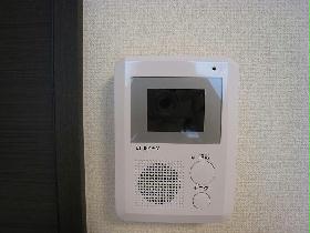Other. Monitor with intercom
