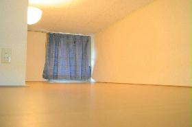 Other. Loft space. Also acceptable even put luggage in the bed.