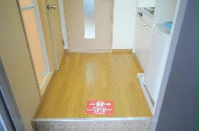 Entrance. Entrance. There is a large shoe box. There is a door between the living room.