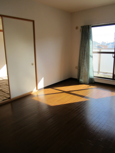 Living and room. Sunny living room