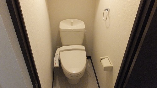 Other. It is with a bidet