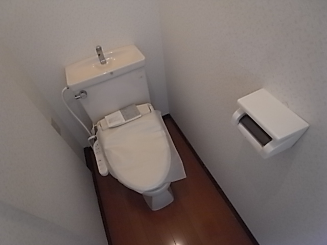 Toilet. Toilet