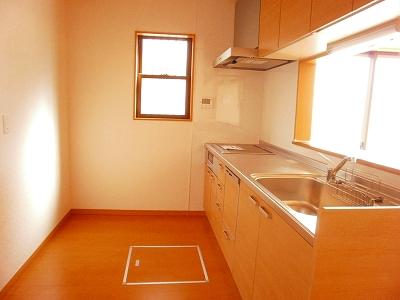 Kitchen. IH and dishwasher with