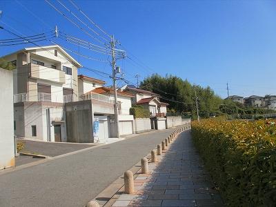 Local photos, including front road. Lush environment