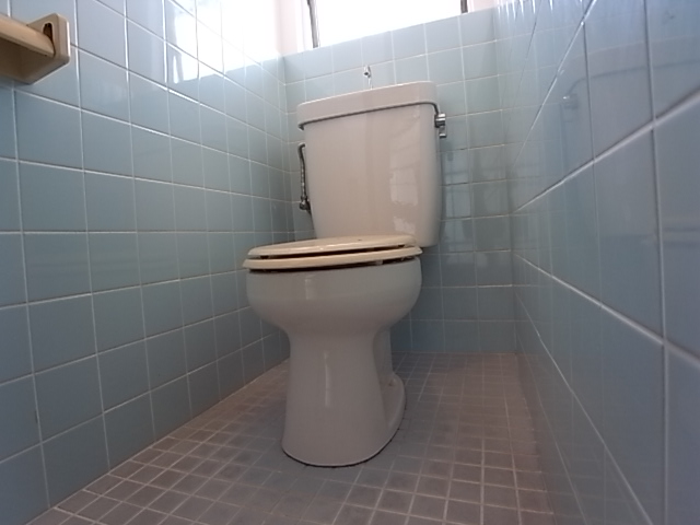 Toilet. Toilet