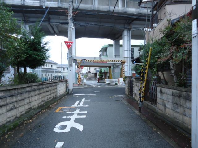 Local photos, including front road. Local (November 25, 2013) Shooting