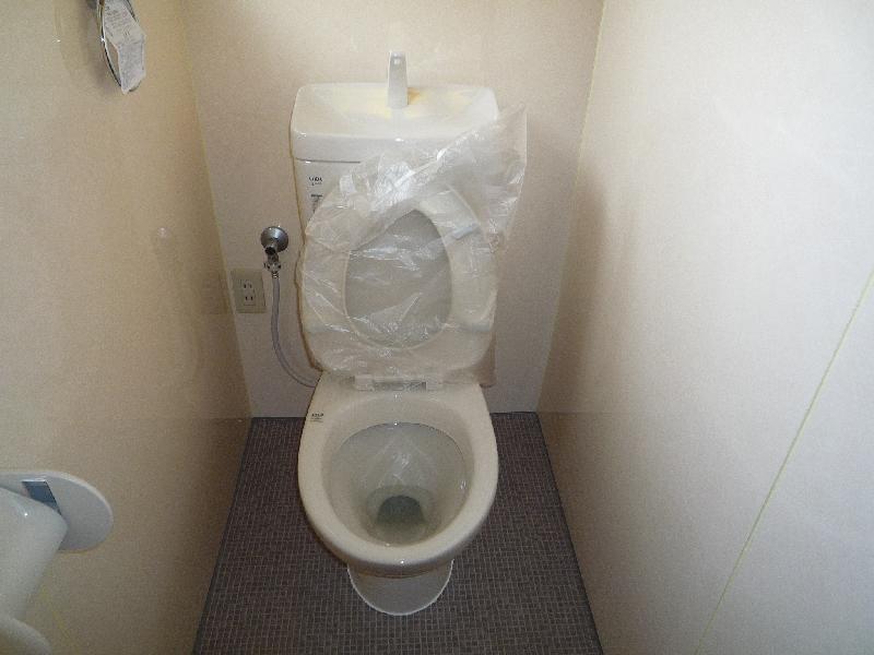 Toilet. Toilet