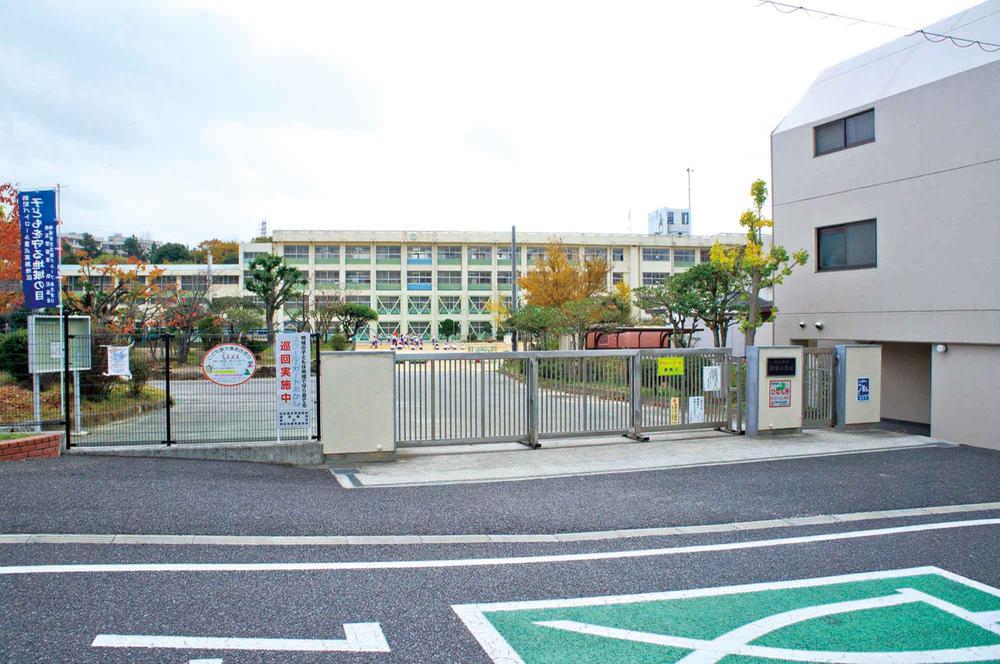 Primary school. Morning mist until the elementary school 760m