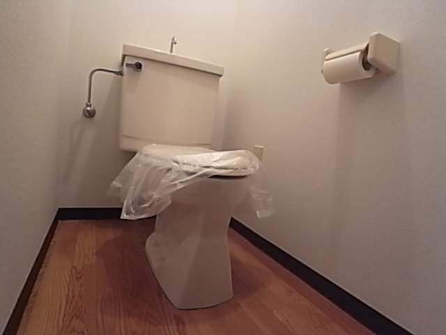 Toilet. Toilet