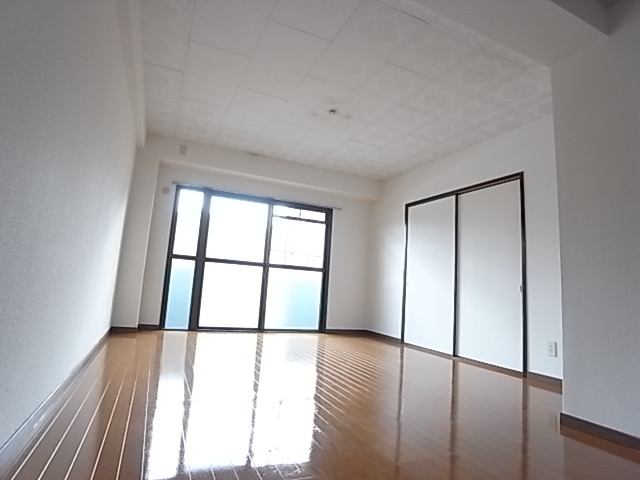 Living and room. Living