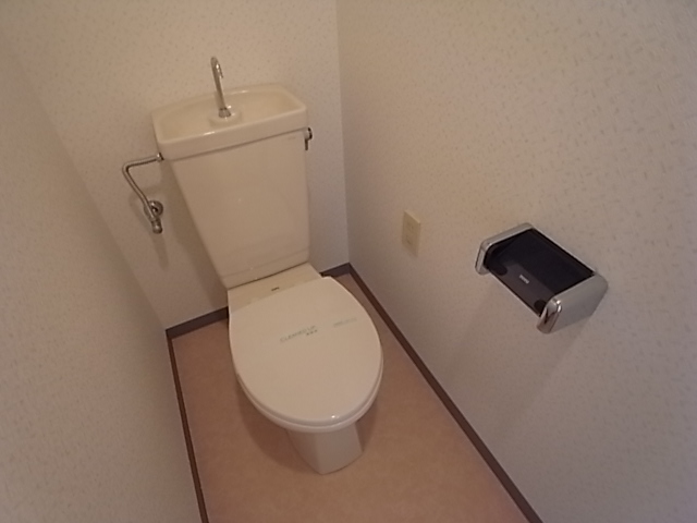 Toilet. Toilet