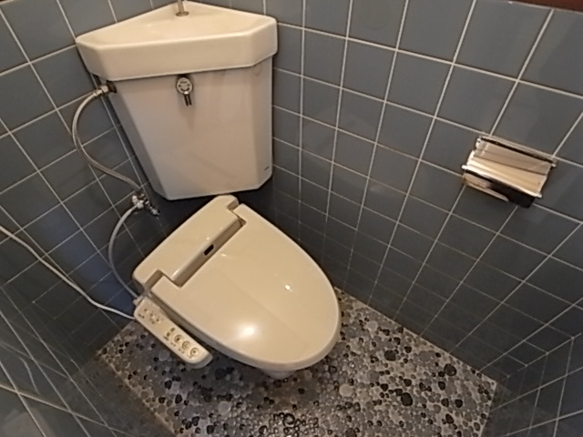 Toilet. Toilet