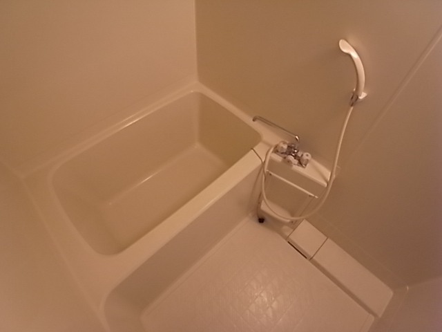 Bath. Bathroom
