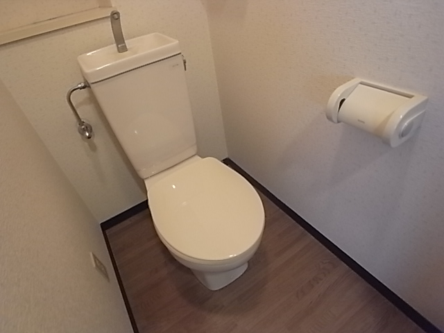 Toilet. Toilet