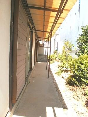 Garden. Bright garden