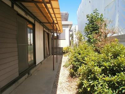 Garden. Bright garden