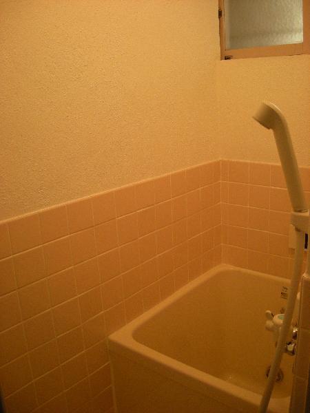 Bath. Bathroom