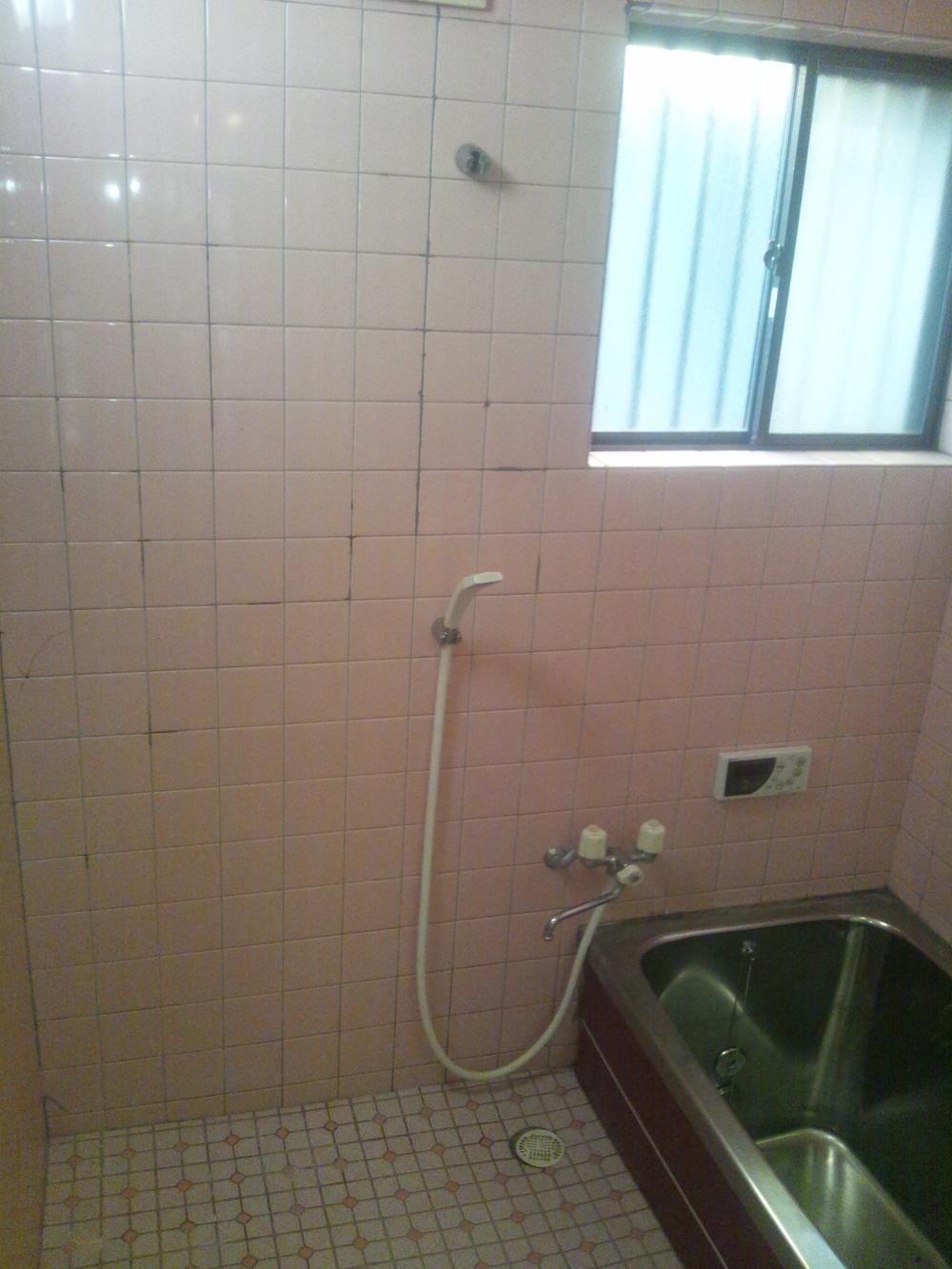 Bathroom. Indoor (February 2013) Shooting