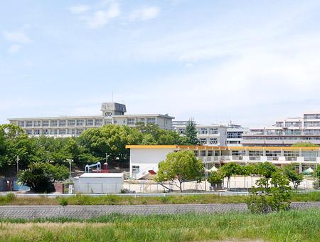 Primary school. 580m up to municipal Eney Island Elementary School