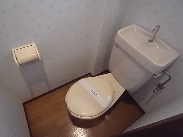 Toilet. Toilet