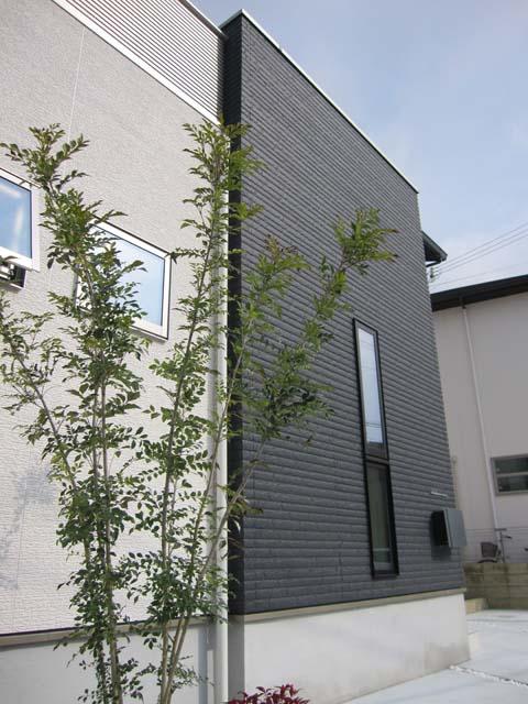 Building plan example (exterior photos). Our construction cases