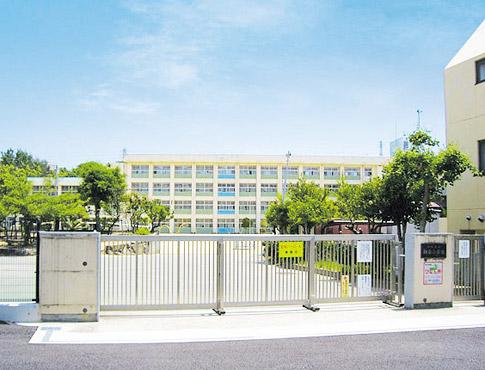 Other local. Municipal morning mist Elementary School ・  ・  ・ 800m