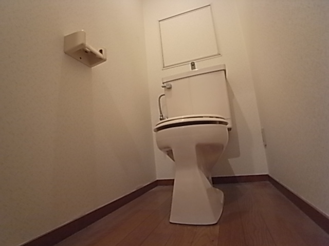 Toilet. Toilet